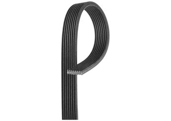 Vantilatör Kayışı  DAYCO 8DPK1411  C2D39175