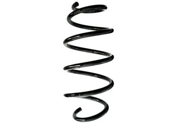 Helezon Yayı Ön SPIDAN GKNW10073  LR024489