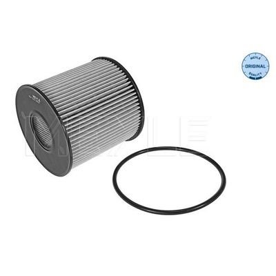 Yağ Filtresi  Renault Laguna II (BG0)(03.2001->)  RENAULT ORJINAL 7701479124