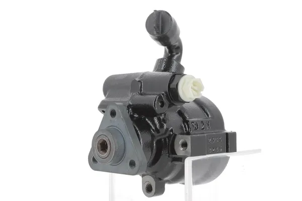 Direksiyon Pompası  Fiat Doblo (119) Panorama (01.2001->)  BSG 25-355-004