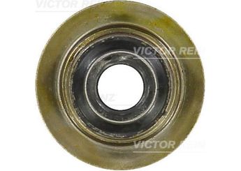 Supap Lastiği  REINZ 70-35893-00  924F6571AA 6597036 6 597 036