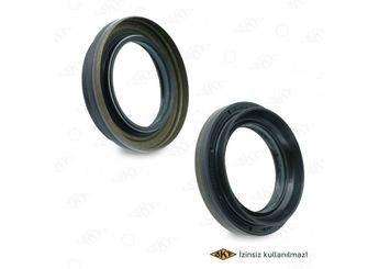 Aks Keçesi  SKT 046328-P  8200172227 3834200QAA 383421561R 383428H500 38342AW600 38342AW602