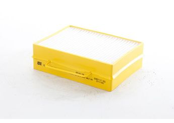 Polen Filtresi  BSG 04-145-003  1379952 1420197 1913503