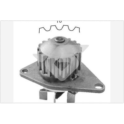 Devirdaim Su Pompası  Fiat Fiorino ( Qubo ) (300/225) Combi / Panorama (2008->)  HUTCHINSON WP48