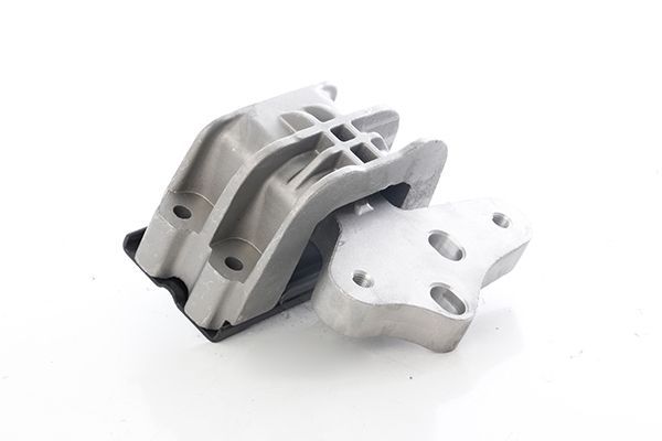 Şanzıman Takozu Sağ Ford Transit P.Van (TTG)(2013->2019)  BSG 30-700-527