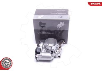 Gaz Kelebeği  MOBIS 351002B220  351002B220