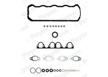Takım Conta  PAYEN DX801  28198012F 028198012F