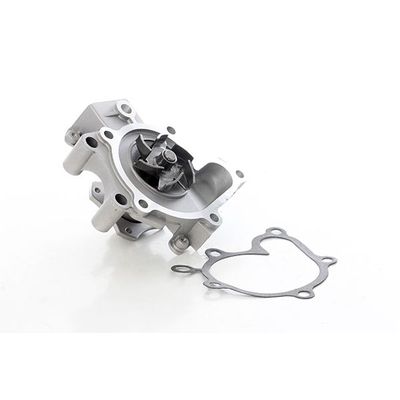 Devirdaim Su Pompası  BSG 55-500-003