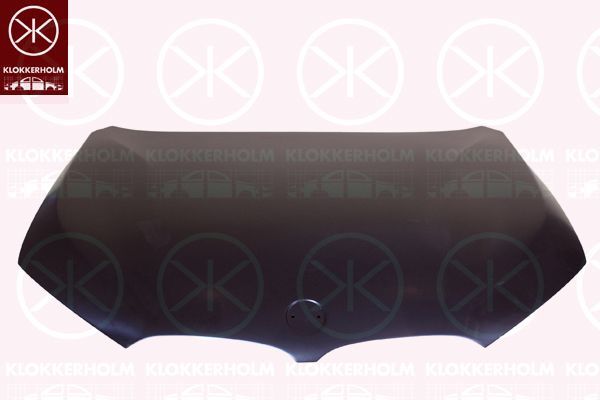 Motor Kaputu  BMW X1 Serisi (F48/F49)(2016->)  VORTEX V0201100