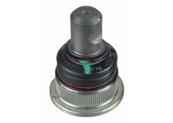 Rotil Alt Sağ veya Sol SWAG 33 11 3933  401602751RSK 545008653RSK 545010278 401602751R 40 16 027 51R 40 16 027 51R SK 545008653R 54 50 086 53R 54 50 086 53R SK 545010278R 54 50 102 78R 545010278RSK 54 50 102 78R SK 545041584R 54 50 415 84R 545041584RSK 54 50 415 84R SK 545054787R 54 50 547 87R 545054787RSK 54 50 547 87R SK