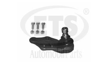 Rotil Alt Sağ RIW RO1011  GSJ498 RBK100400