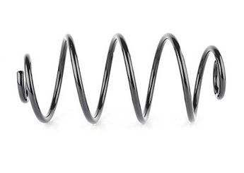 Helezon Yayı Arka BSG 65-305-017  424029 9118377