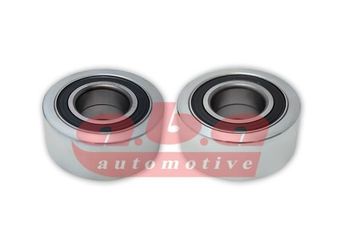 Vantilatör Kayış Gergi Rulmanı  BMS 504  5010477345 5010412973 50 10 477 345