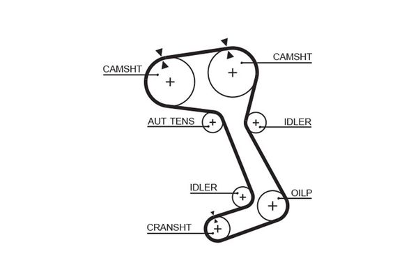 Triger Kayışı  Volvo Serisi 940 Sedan/Combi (1990->)  GATES 5364XS