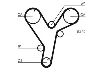 Triger Kayışı  CONTINENTAL CT1080  MD307487 MD317871 XD307487