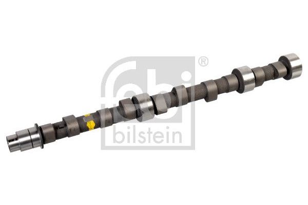 Eksantrik Mili  FEBI BILSTEIN 01307