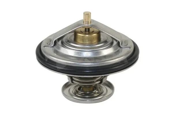 Termostat  FRENDI 02931