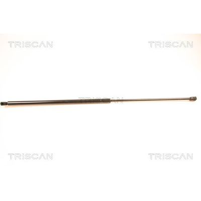 Bagaj Amortisörü Sağ veya Sol FROW 504.1650.003