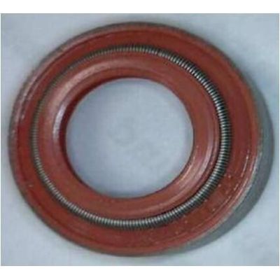 Supap Lastiği  IVECO ORJINAL 40101874