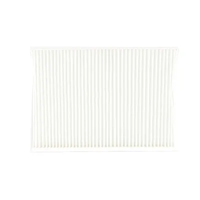 Polen Filtresi  Kia ProCeed (ED)(2008->)  BSG 40-145-010