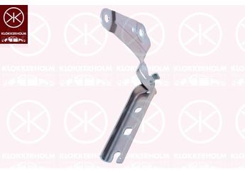 Motor Kaput Menteşesi Sol GORDON BT0579L  2GA823301B 2GA823301A