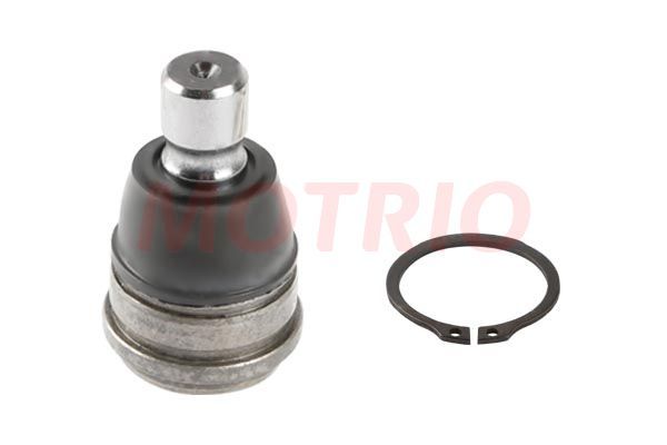 Rotil Alt Sağ veya Sol MOTRIO 8550501432