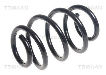 Helezon Yayı Arka BSG 60-305-084  A1763240204 1763240204