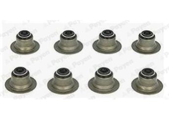 Supap Lastiği  PAYEN HR656  LJQ100560B CDU3860