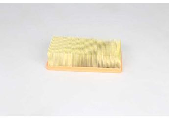 Hava Filtresi  BSG 25-135-007  7604091 1444N8 1444-N8 60809355 0060809355 71736122 71754228 71771784 5023137 25069001