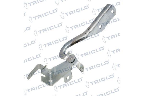 Motor Kaput Menteşesi Sol LEEOPART BB21901