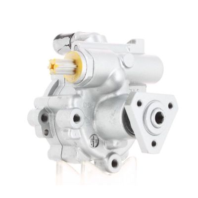 Direksiyon Pompası  RENAULT ORJINAL 491101451R