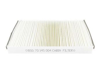 Polen Filtresi  BSG 70-145-004  6479C9 71773190 77364063 V22301008 1613733080 6447YA 6447YC