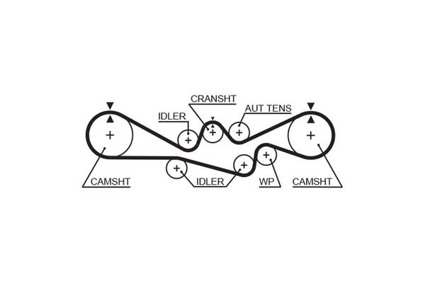 Triger Kayışı  GATES 5537XS