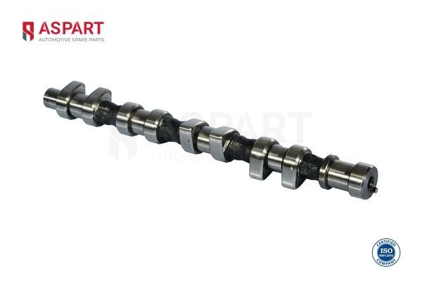 Eksantrik Mili  ASPART 8CAM1087