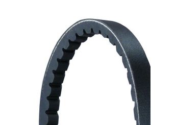 Vantilatör Kayışı  CONTINENTAL 13X860  13X860 106000210302 117131010300 60534466 60805194 60806472 7627908 7655543 603713 ERC0400 ERC1347 ERC2774 GFB20864 GFB216 64521722371 64551717954 96350467 96486814 9932200860 99322-00860 7617278 7623460 7649219 5016346 A86AX6C301AA 38920PE0013 38920-PE0-013 38920PE0014 38920-PE0-014 2312724001 23127-24001 8941339760 93419518 98419518 98435375 C43070 GFB233 K01732611 0K017-32-611 4766702100 A4766702100 6580432215 06580432215 22218381 022218381 22218381A 022218381A 1N2118381 1N21-18-381 267718381 298118381 FE6518381 FE65-18-381 RF7115907 RF71-15-907 RF7115907A RF71-15-907A RF7115907B RF71-15-907B RFC618381 RFC6-18-381 RFG118380 RFG1-18-380 RFG118380A RFG1-18-380A RFG118380B RFG1-18-380B RFG118381 RFG1-18-381 RFG118381A RFG1-18-381A RFG118381B RFG1-18-381B W02932611 W029-32-611 29972592 0029972592 29973092 0029973092 39978292 0039978292 69972992 0069972992 A0029972592 A0029973092 A0039978292 A0069972992 211786523 02117-86523 117200E400 11720-0E400 117200E401 11720-0E401 117200E410 11720-0E410 1172029S00 11720-29S00 117202F610 11720-2F610 1172059M00 11720-59M00 1172059Y00 11720-59Y00 117209C603 11720-9C603 11720D2800 11720-D2800 11720D2811 11720-D2811 11720E8700 11720-E8700 11920M6601 11920-M6601 11920M6660 11920-M6660 11920N9505 11920-N9505 11920R2001 11920-R2001 11920W4400 11920-W4400 A172A59M9AGA A172A-59M9AGA 7700268227 7701348346 9514177E80 95141-77E80 9514177E81 95141-77E81 9091602125 90916-02125 9091602140 90916-02140 9091602262 90916-02262 9933200850 99332-00850 9933210860 99332-10860 9952210848 99522-10848 958484