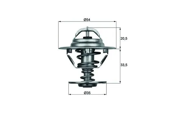 Termostat 88 °C  Kia Carnival III (2007->)  MAHLE TX 8 88D