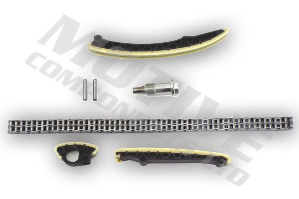 Triger Zincir Seti  MOTIVE TCK69