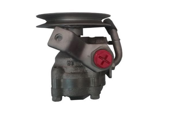 Direksiyon Pompası  SPIDAN GKNY10094