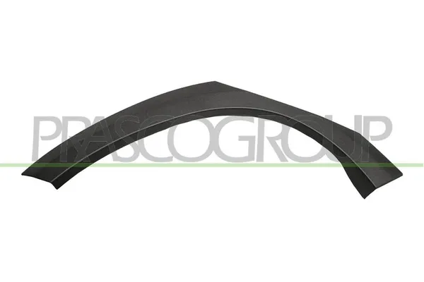 Çamurluk Bandı Arka Sağ PSA ORJINAL 98174917XT