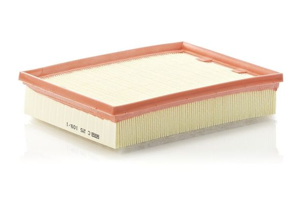 Hava Filtresi  Renault Laguna Grandtour (2007->)  MANN C 25 109/1