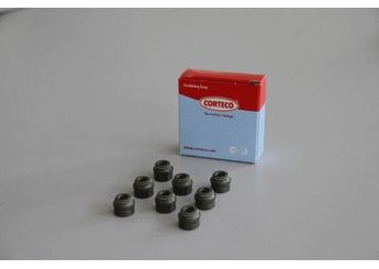 Supap Lastiği  CORTECO 19025687  46470334 1221514 3M216571AA 8631652