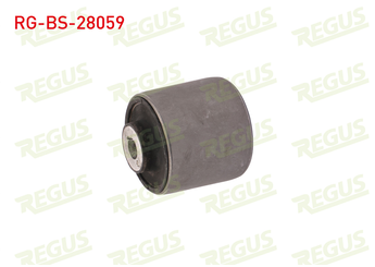 Salıncak Burcu Ön Üst Sağ veya Sol REGUS RG-BS-28059  2213331914 221 333 19 14 A2213331914 A 221 333 19 14
