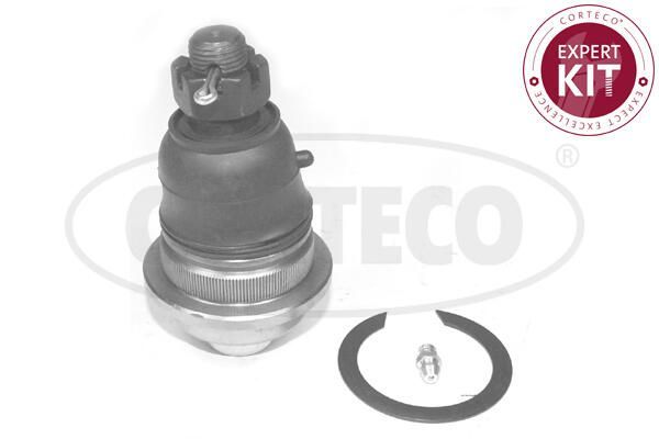 Rotil Alt Sağ WONGA 600512