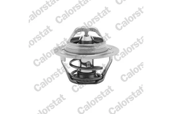 Termostat 89 °C  Renault Clio Symbol I (1998->)  CALORSTAT TH6047.89