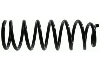 Helezon Yayı Arka ASPART 1CSP1099  4823102310