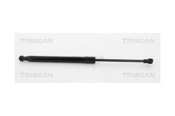 Bagaj Amortisörü Sağ veya Sol Citroen C6 (09.2005->)  PSA ORJINAL 8731K8