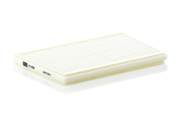 Polen Filtresi  MANN CU 2930