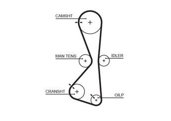 Triger Kayışı  GATES 5609XS  MN158737 MR994968 SMR994968