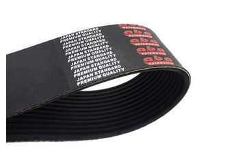 Vantilatör Kayışı  A.B.A 12PK2500  N1014001004 130882000 5429970092 542 997 0092 A5429970092 14001004