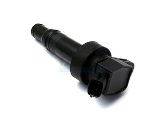 Ateşleme Bobini  BERU ZS625  273012B110 27301-2B110